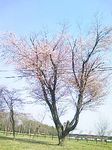 090505_2.jpg